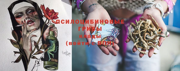 амф Зеленодольск